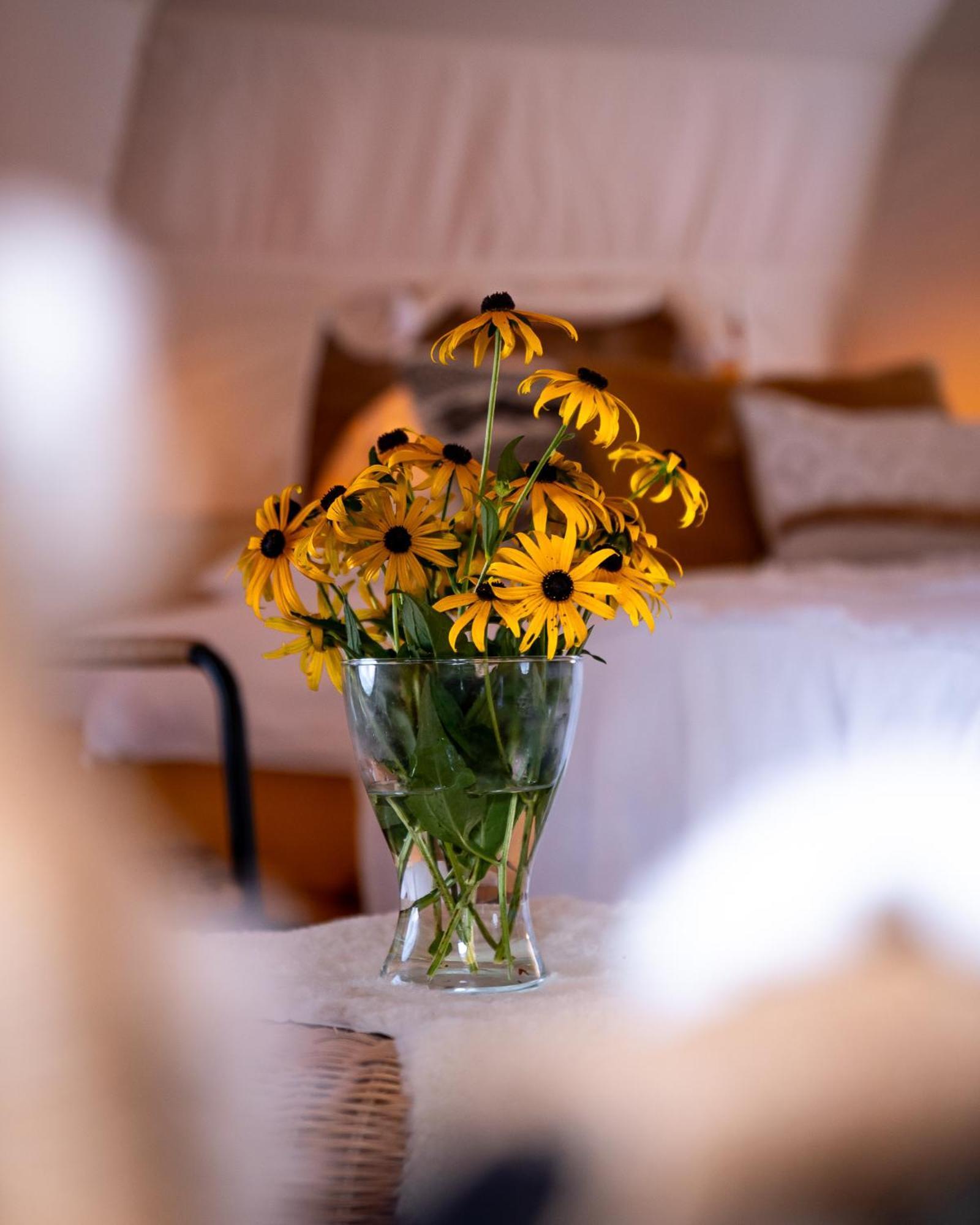 Glamping Gozdna Jasa Hotel Bovec Eksteriør billede