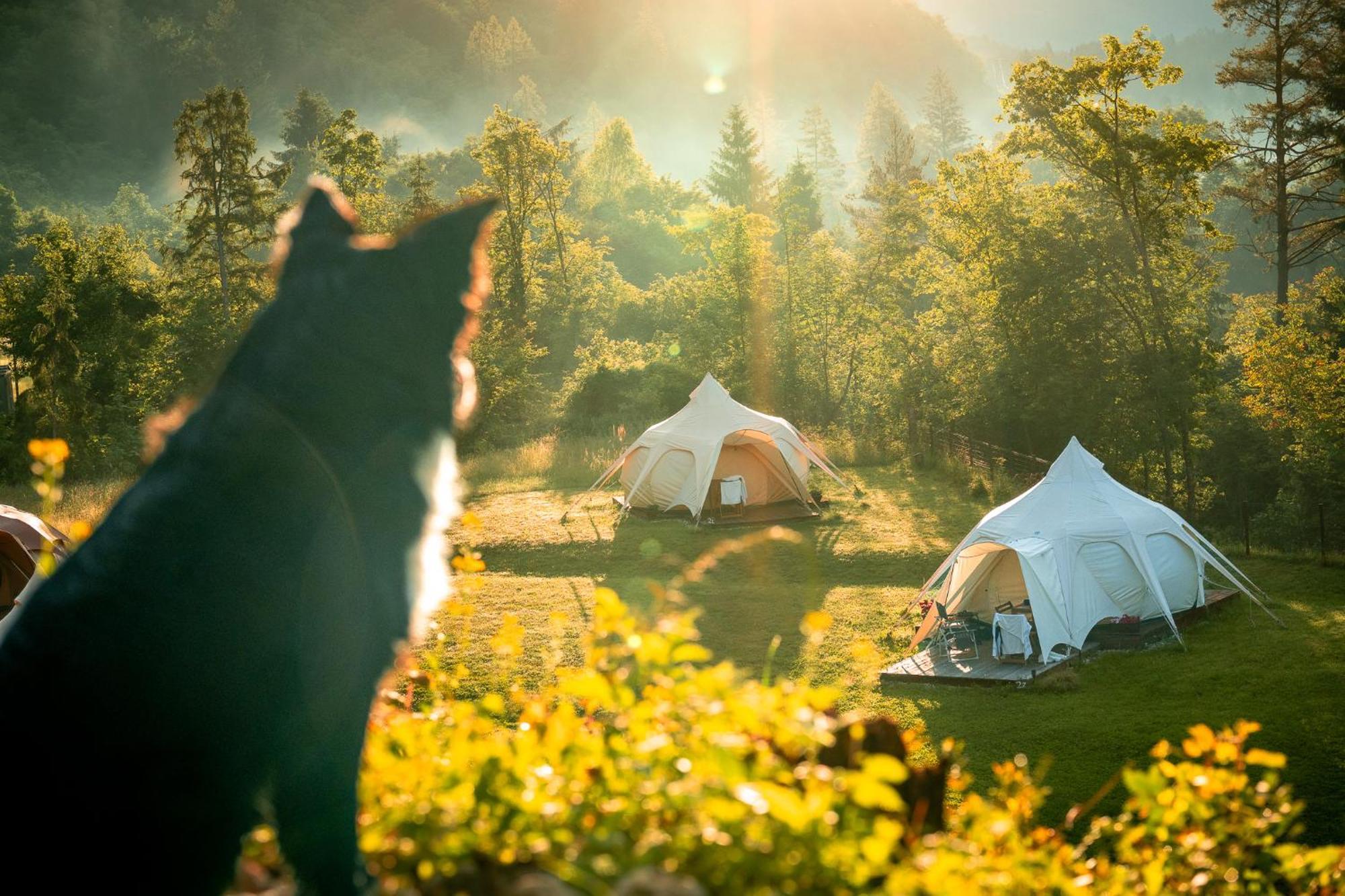 Glamping Gozdna Jasa Hotel Bovec Eksteriør billede